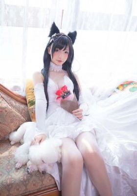 蜘蛛1普通话版_4K动漫在线观看
